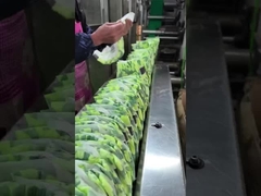 Uniconcern popok bayi lembut